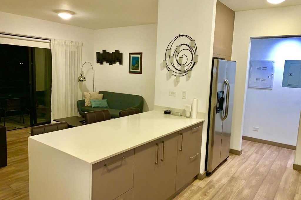 precioso-apartamento-amueblado-brasil-mora-3